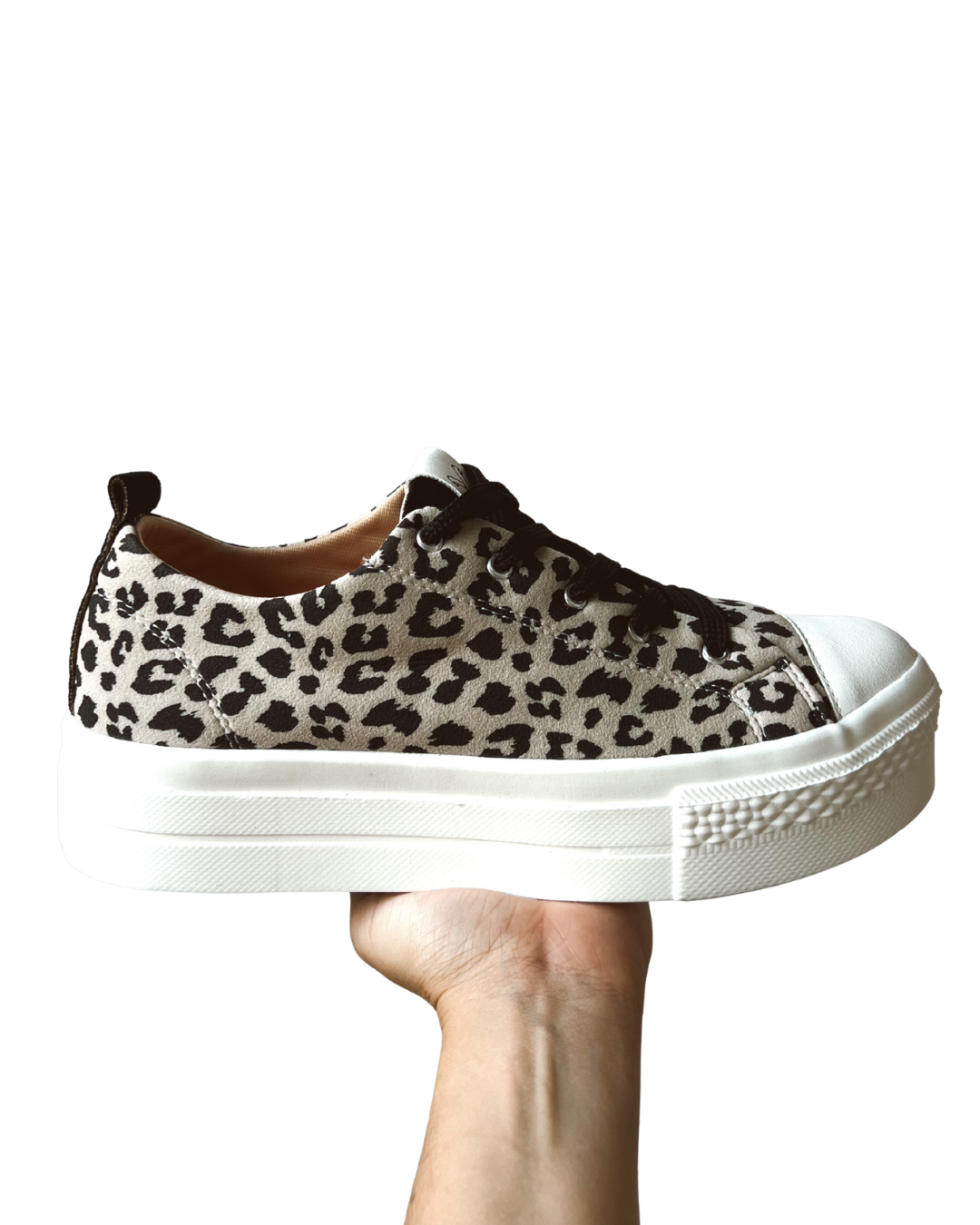 Street Boston Duna Jaguar