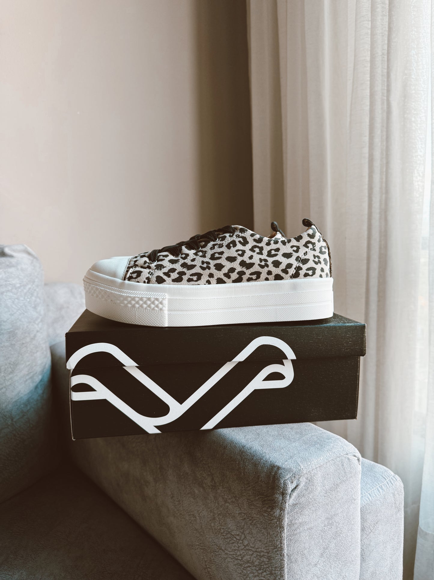 Street Boston Duna Jaguar